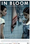 in bloom poster.jpg